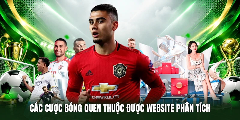 Các cược bóng quen thuộc được website phân tích