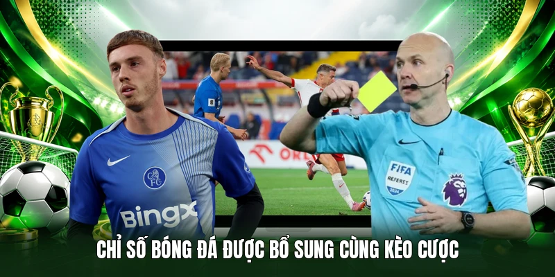 Chỉ số bóng đá được bổ sung cùng kèo cược